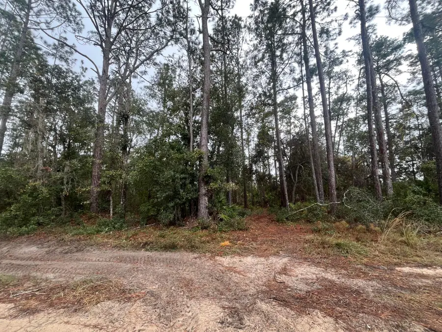 Tbd Susan Street, Interlachen, FL 32148 - #2