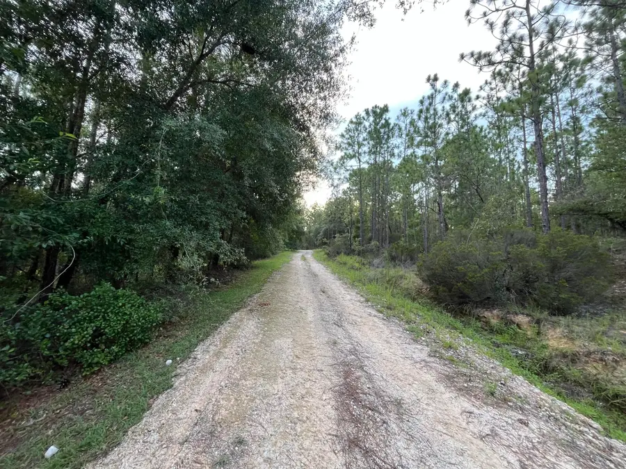 124 New York Avenue, Interlachen Florahome, FL 32148 - #3