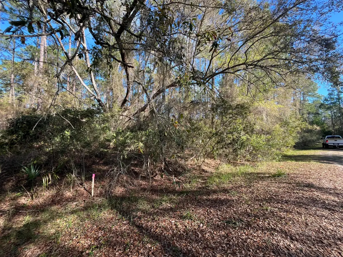 104 SE 5th Street, Georgetown, FL 32139 - #1