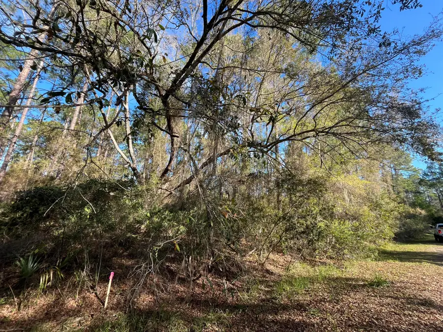 104 SE 5th Street, Georgetown, FL 32139 - #3