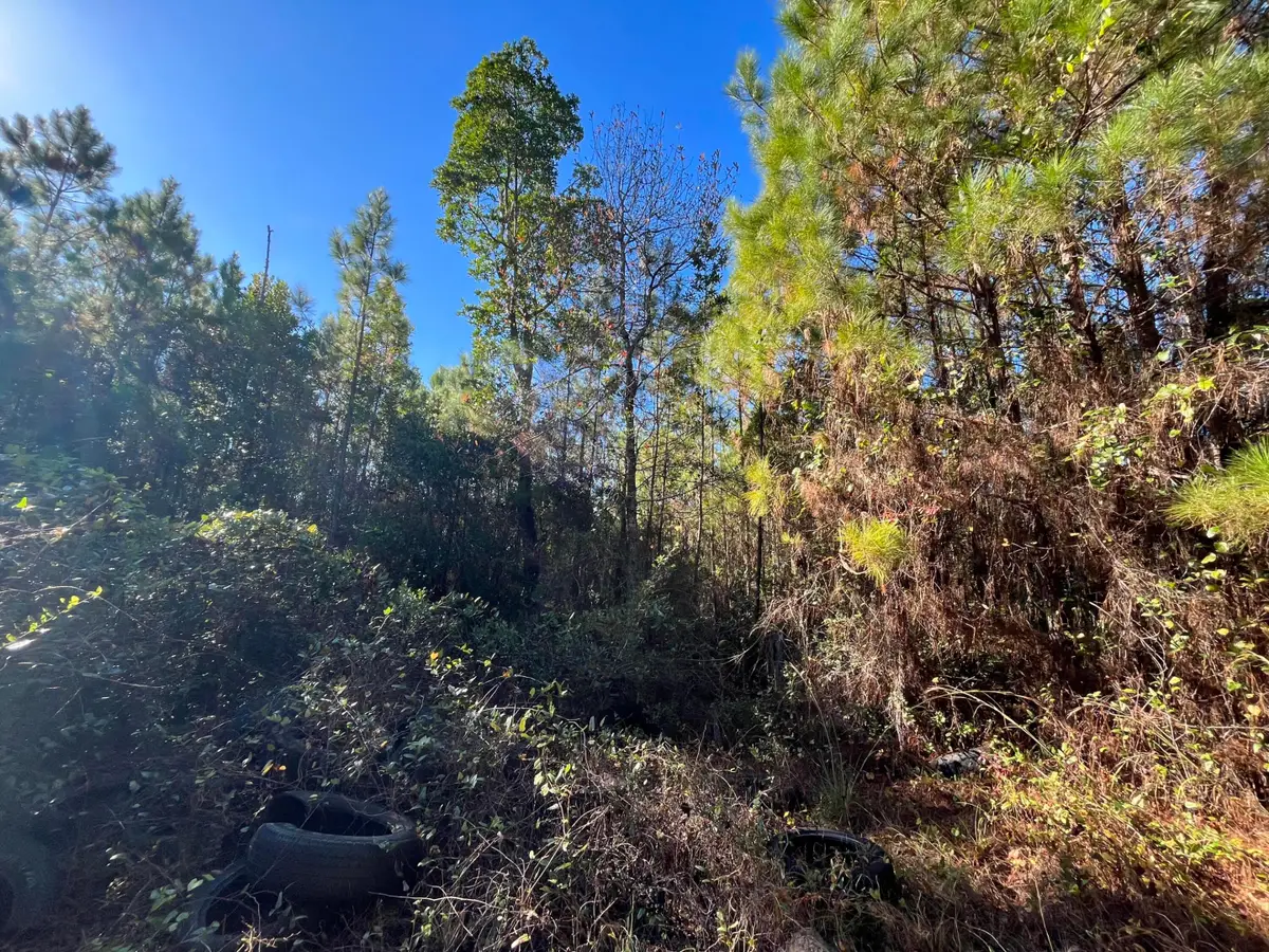 223 Mourning Dove Road, Satsuma, FL 32189 - #1