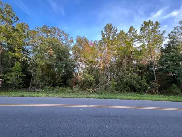 Tbd Twin Lakes Road, ,, FL 32148