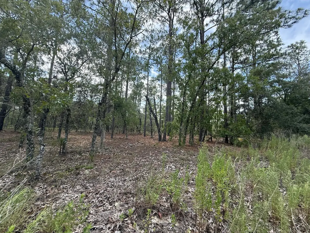 Tbd NW Tree Top Road, Rainbow Lakes Estates, FL 34431 - #1