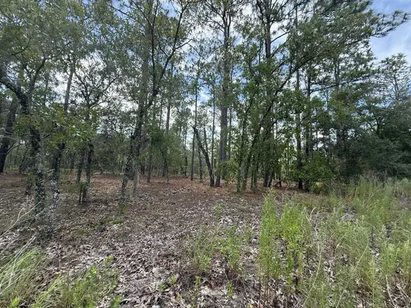 Tbd NW Tree Top Road, ,, FL 34431