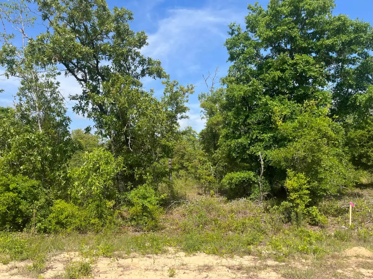 Tbd Rome Avenue, Alford, FL 32420 - #1