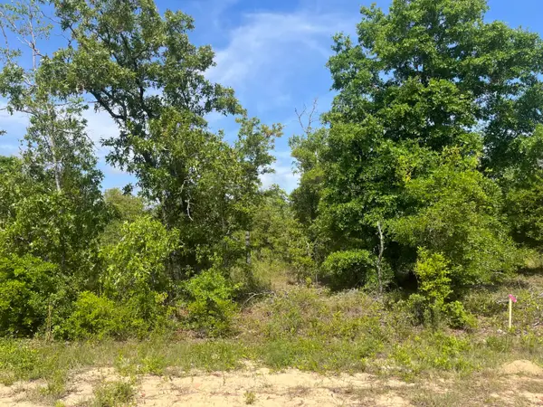 Tbd Rome Avenue, ,, FL 32420