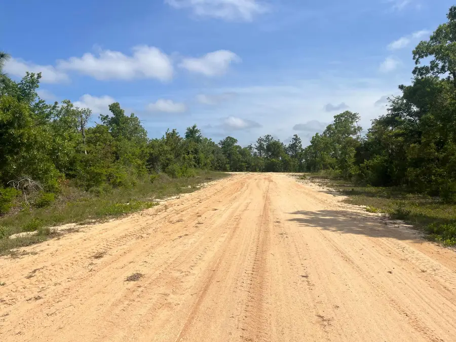 Tbd Rome Avenue, Alford, FL 32420 - #2