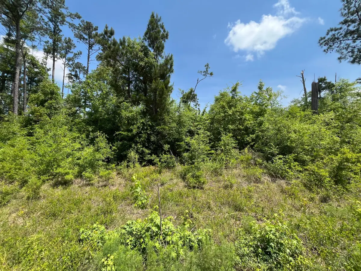 Tbd Grand Quiviera Circle, Alford, FL 32420 - #1