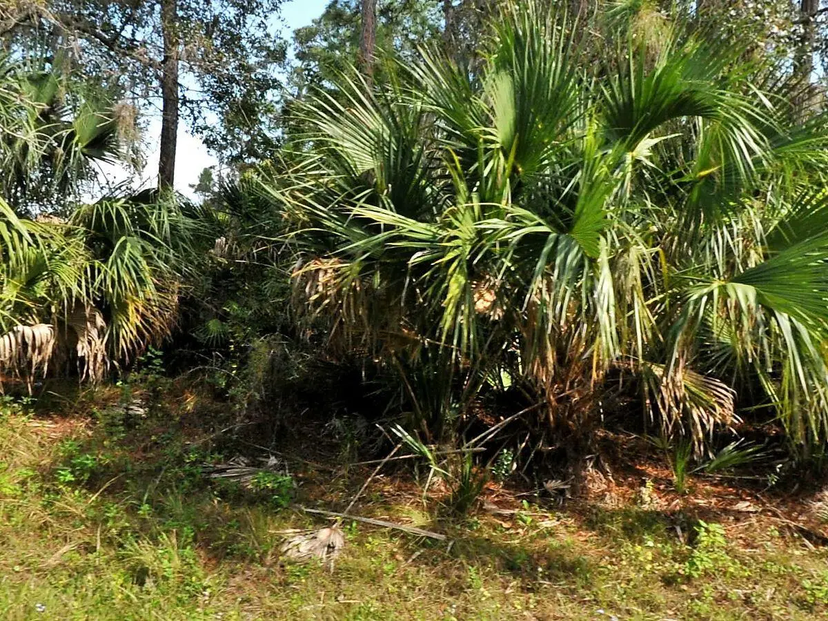 Tbd Abbington Street, North Port, FL 34286 - #1