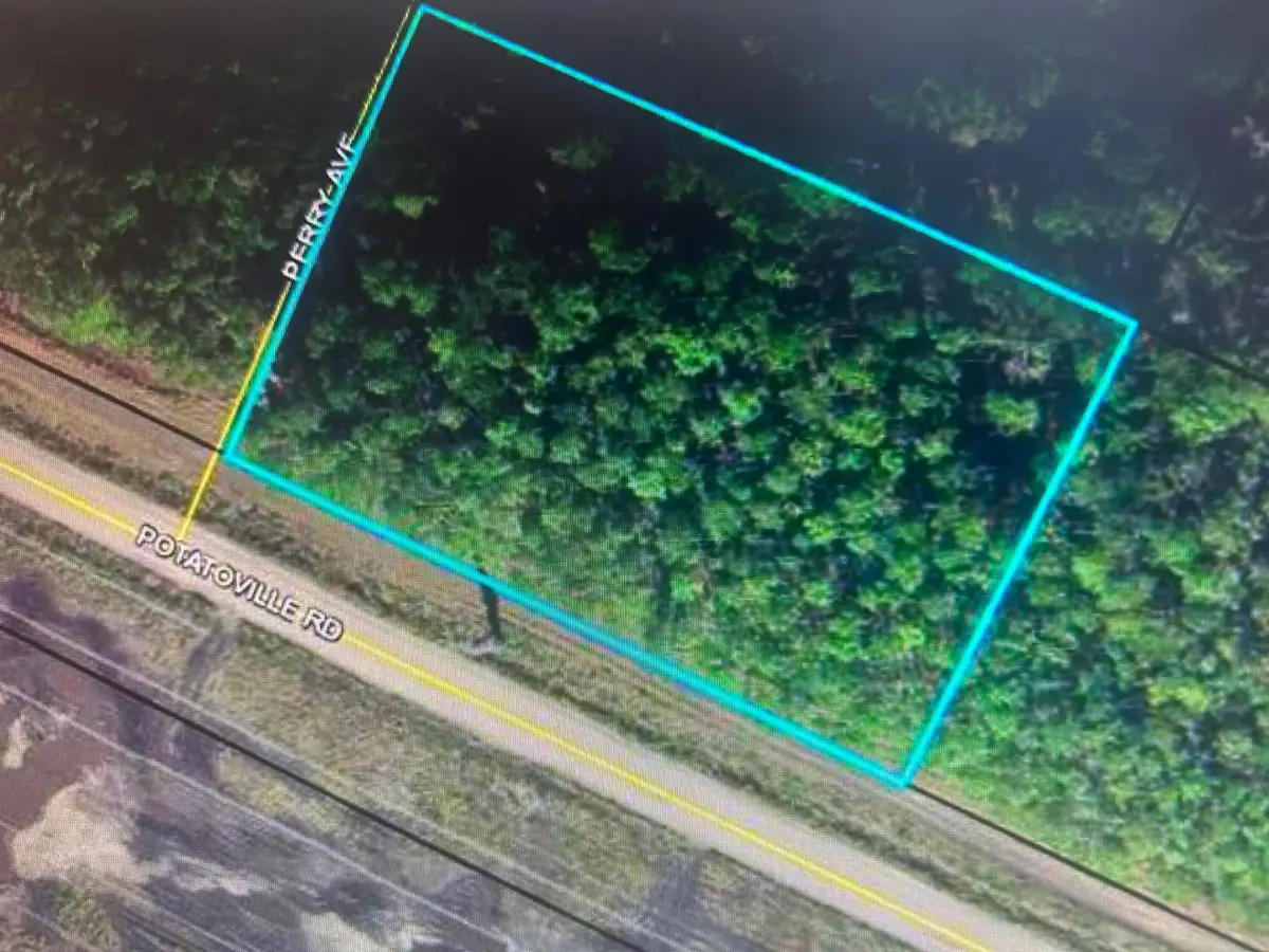 579 Perry Ave, Bunnell, FL 32110 - #1
