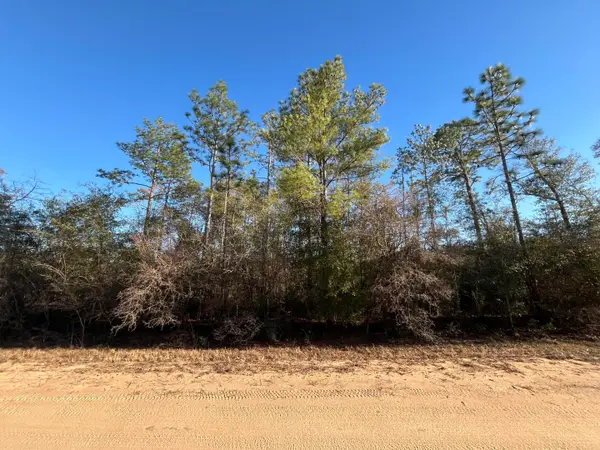 Tbd Goreville, ,, FL 32420