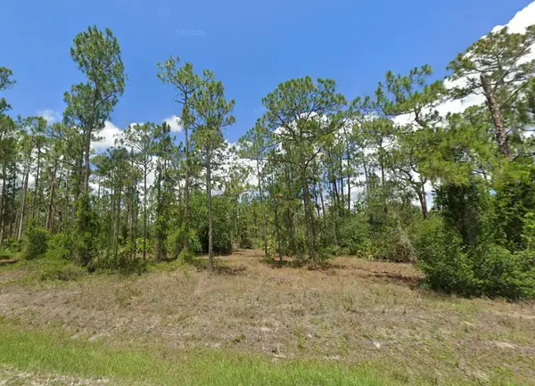 1223 Richmond Avenue N, Lehigh Acres, FL 33972