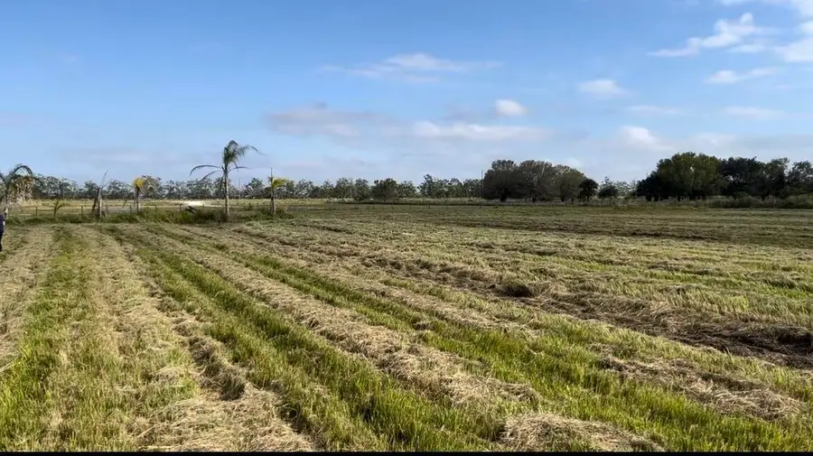 1503 S Header Canal Road, Fort Pierce, FL 34945 - #2