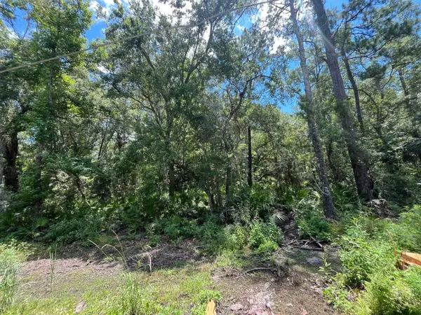 Tbd Franklin Drive, ,, FL 32327