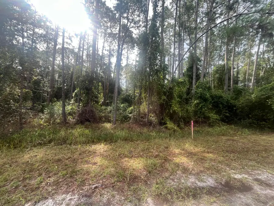 223 SE 2nd Street, Georgetown, FL 32139 - #2