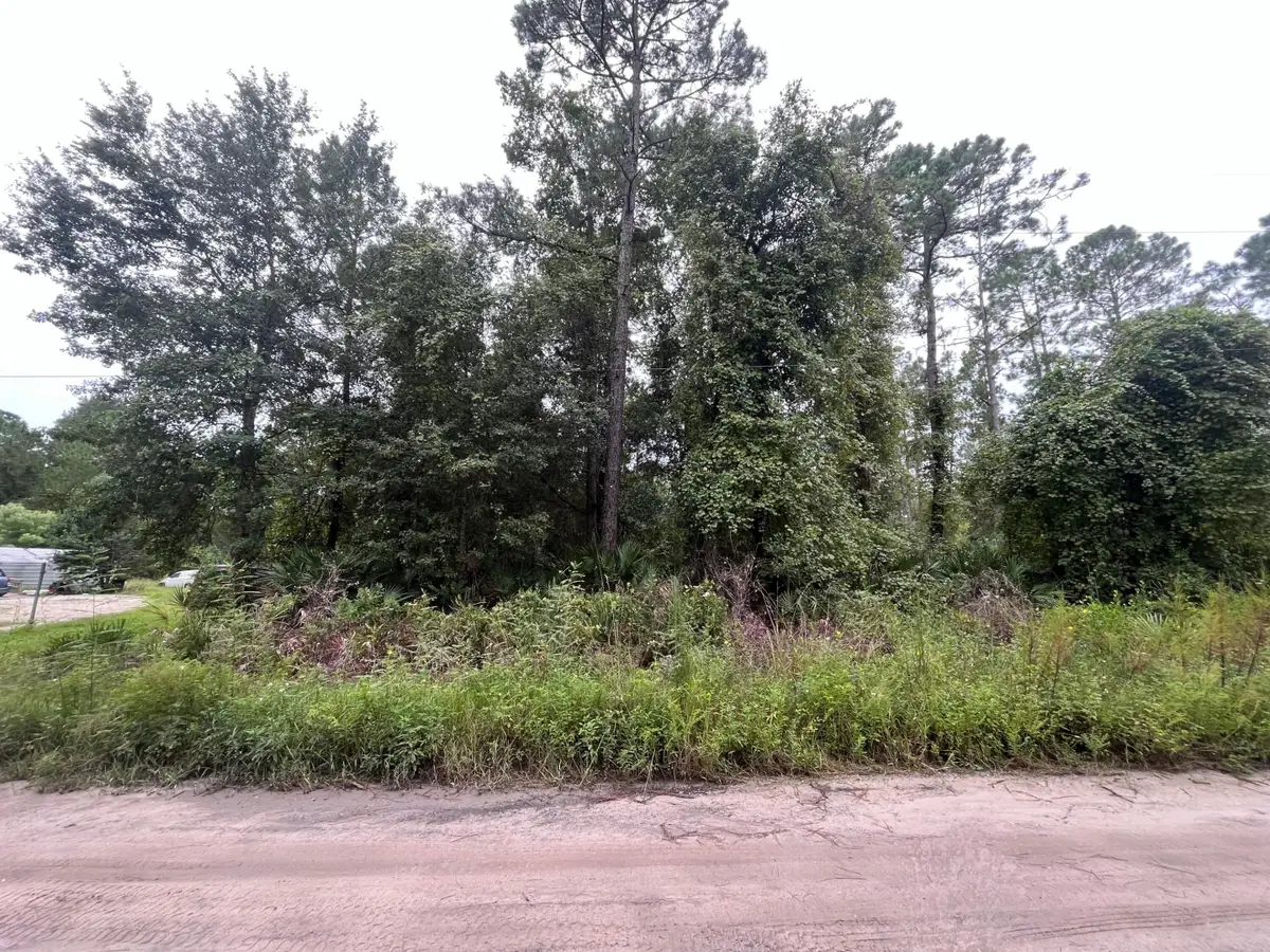 0 Hickory Nut Trail, Satsuma, FL 32189 - #1