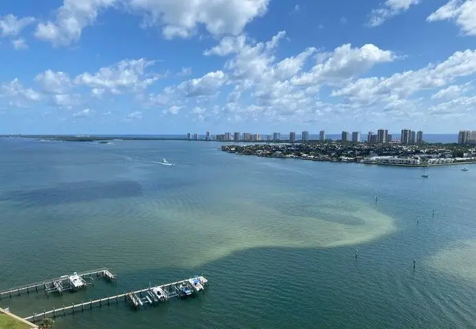2650 Lake Shore Drive #2203, Riviera Beach, FL 33404 - #3