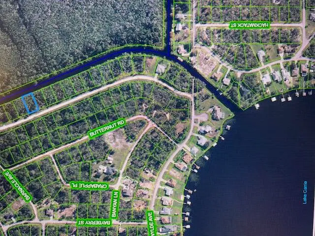 1131 Greenfield Street, Lake Placid, FL 33852 - #3