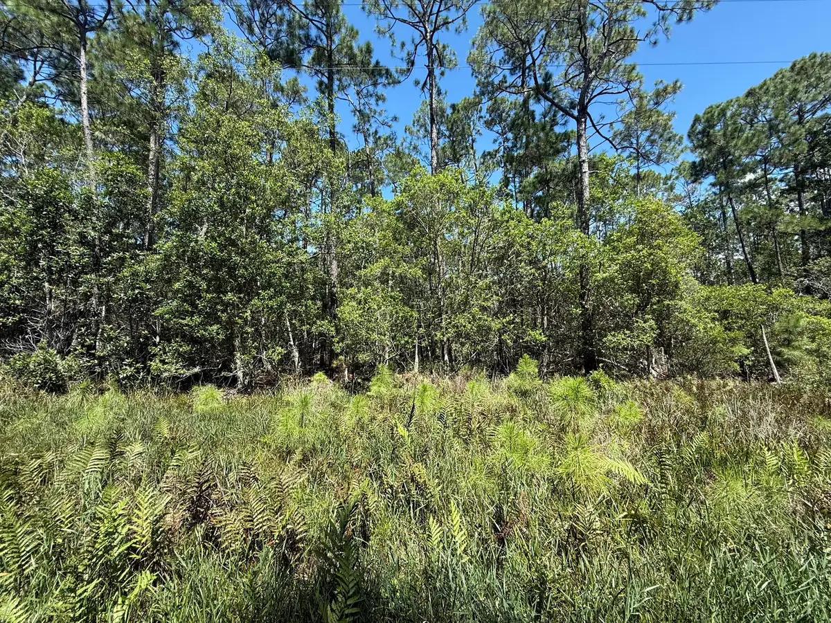210 SE 2nd Street, Georgetown, FL 32139 - #1