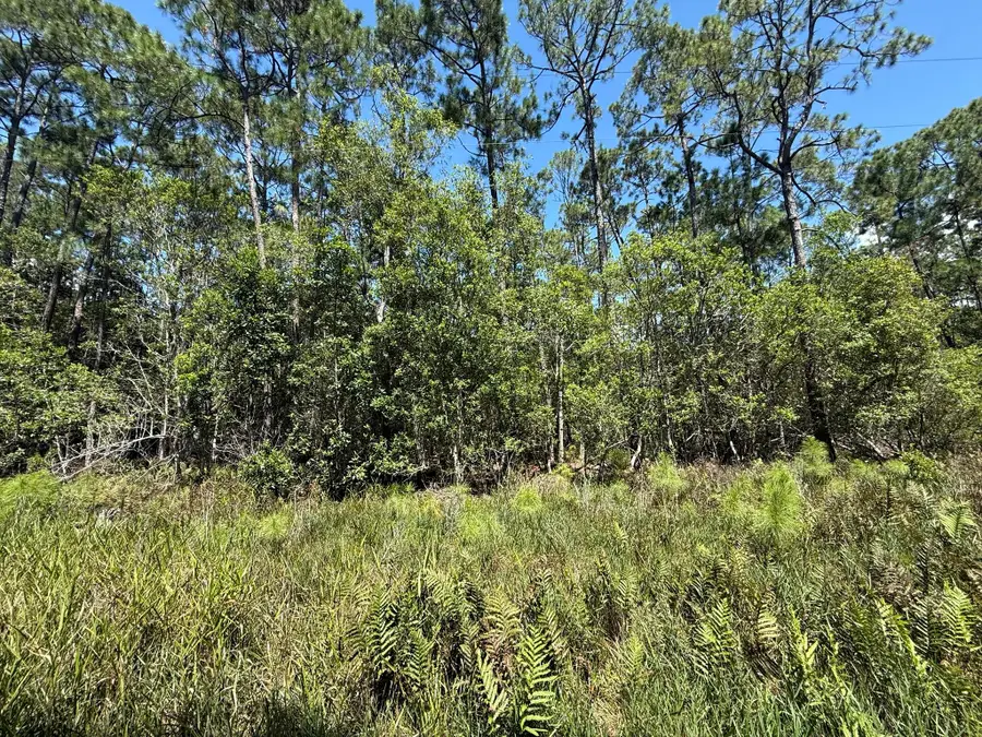 210 SE 2nd Street, Georgetown, FL 32139 - #2
