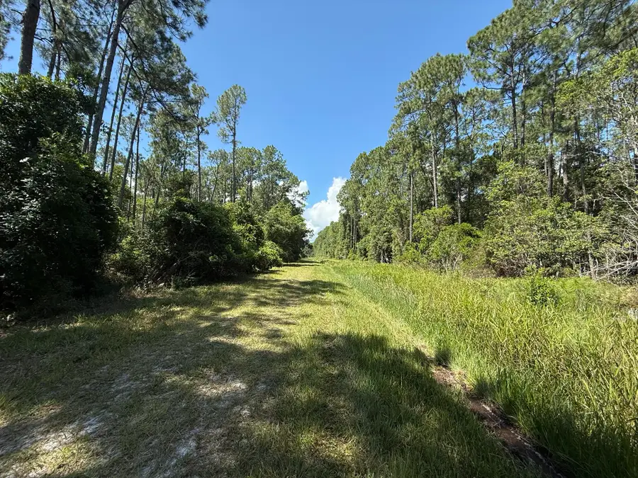 210 SE 2nd Street, Georgetown, FL 32139 - #3