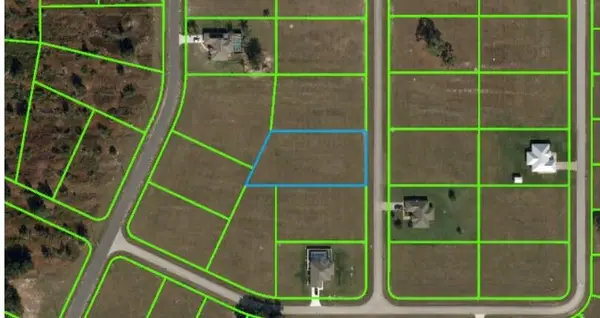 316 Costa Del Sol Drive, Sebring, FL 33876