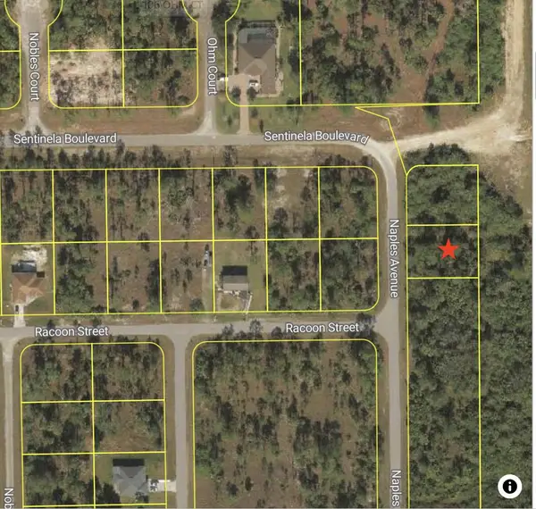 121 Naples Avenue S, Lehigh Acres, FL 33974