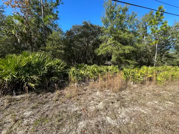 632 N Dunkenfield Avenue, ,, FL 34429