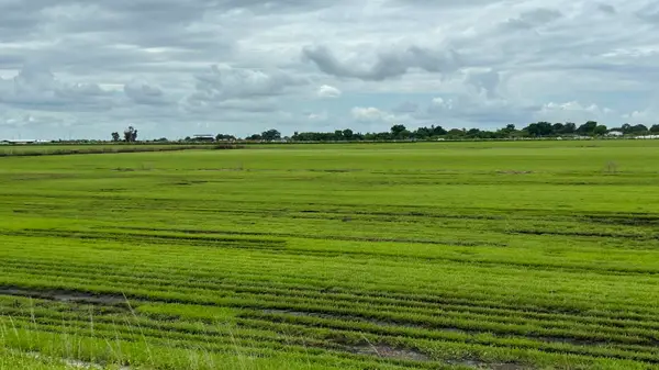 400 State Road 80, Belle Glade, FL 33430