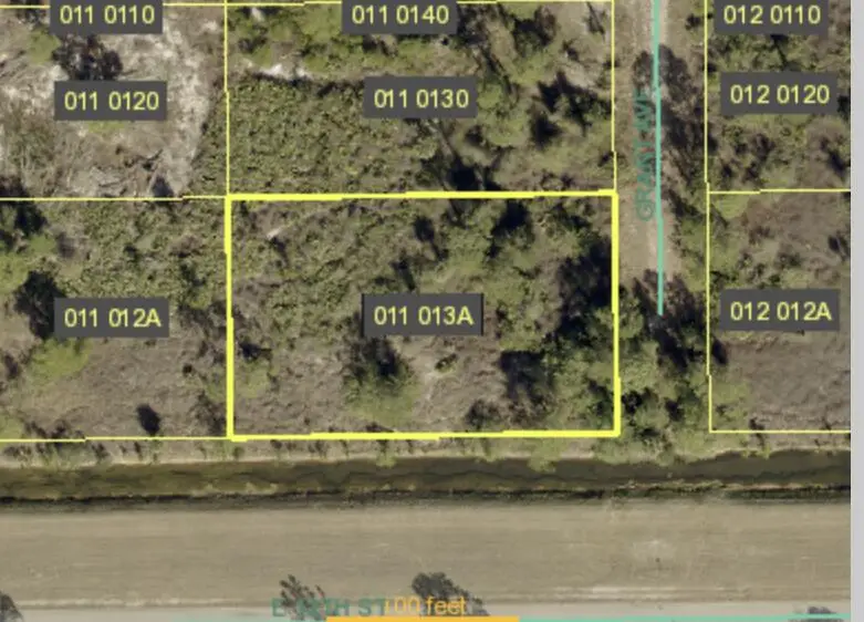 1201 Grant Avenue, Lehigh Acres, FL 33972 - #1