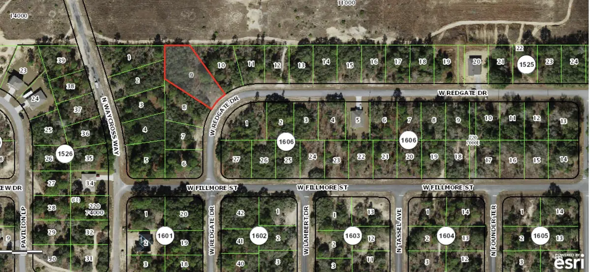 3051 W Redgate Drive, Pine Ridge, FL 34433 - #1