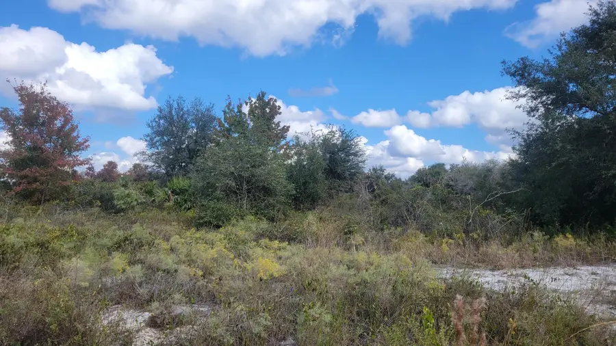 21321 NW 272nd Street, Okeechobee, FL 34972 - #3