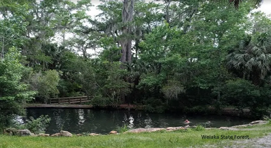 175 Park Avenue, Interlachen, FL 32148 - #2