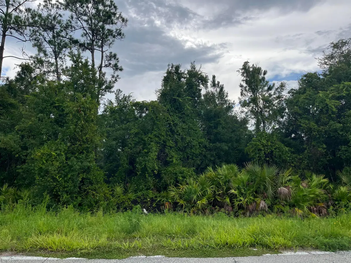 6883 St Johns Avenue, Palatka, FL 32177 - #1