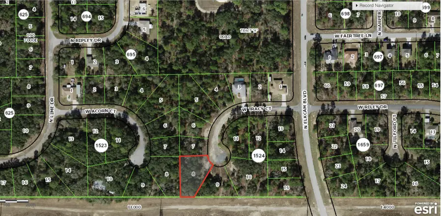 2770 W Tracy Court, Citrus Springs, FL 34433 - #2