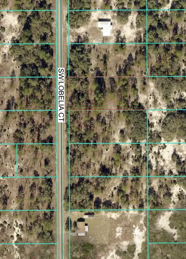 Tbd Lot 32 SW Lobelia Court, ,, FL 34431