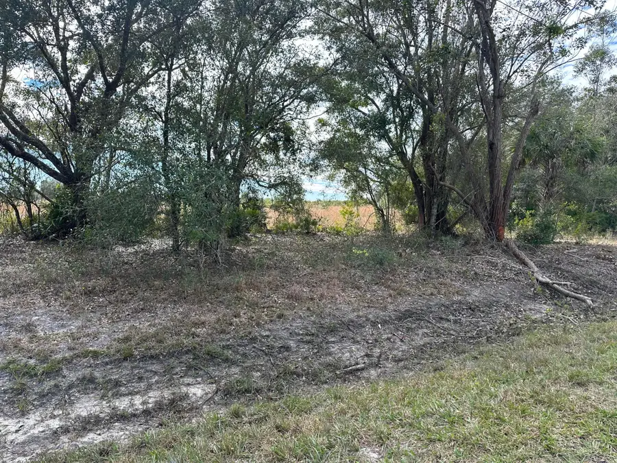 15322 NW 252nd Street, Okeechobee, FL 34972 - #3