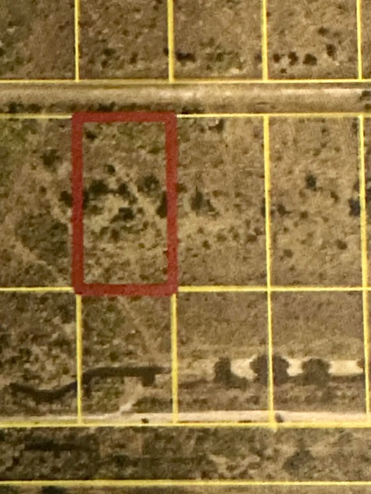 22076 NW 242nd Street, Okeechobee, FL 34972 - #1