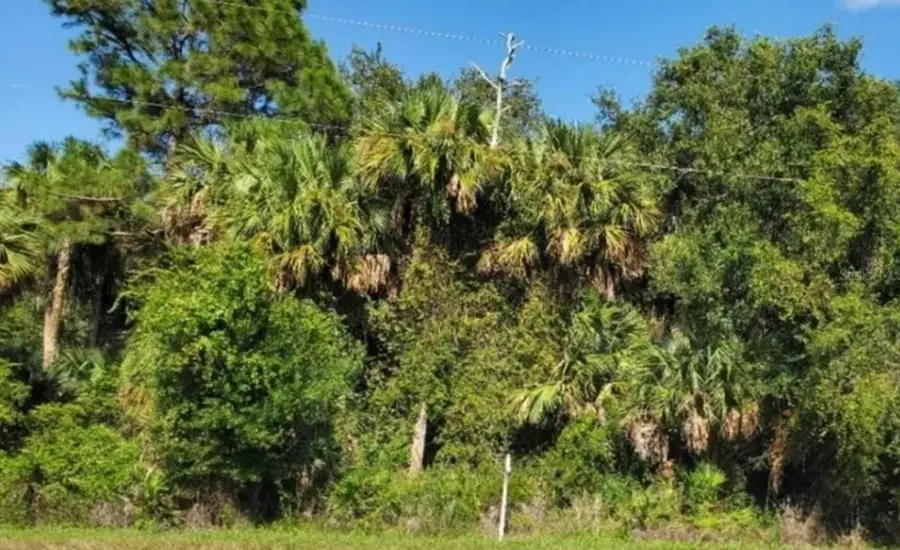 3822 Hwy 98 N, Okeechobee, FL 34972 - #2