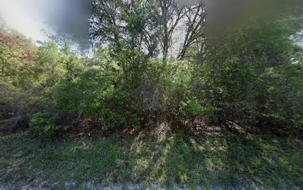 Tbd NE 799th Street, ,, FL 32680