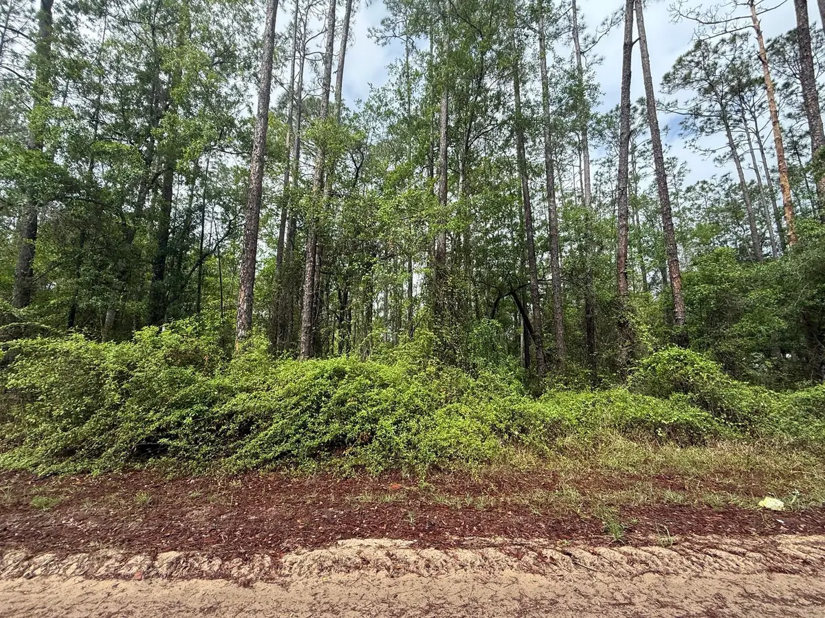 Tbd Seminole Avenue, Interlachen Florahome, FL 32148 - #1