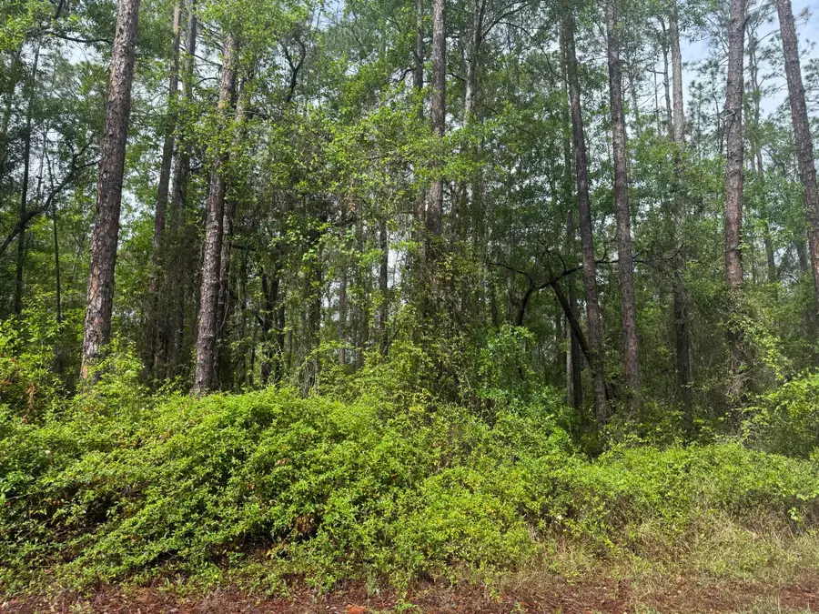 Tbd Seminole Avenue, Interlachen Florahome, FL 32148 - #3
