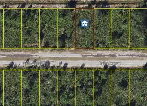 0 Palm Avenue, ,, FL 33855