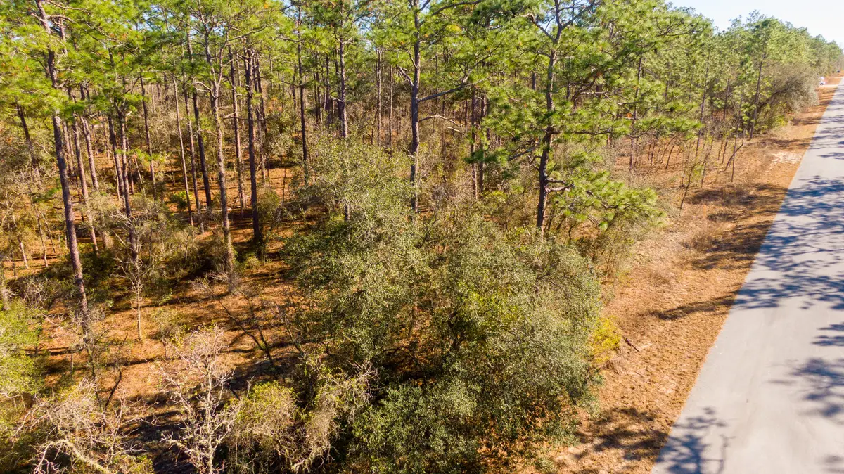 0000 SW Commodore Road, Rainbow Lakes Estates, FL 34431 - #1