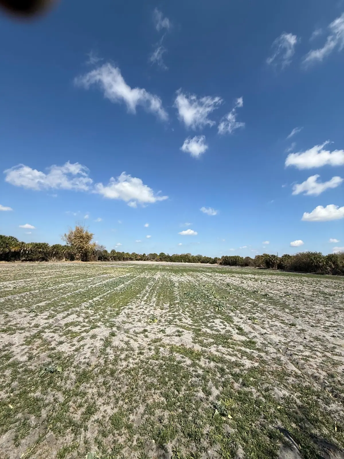 00 SW Tommy Clements Street, Indiantown, FL 34956 - #1