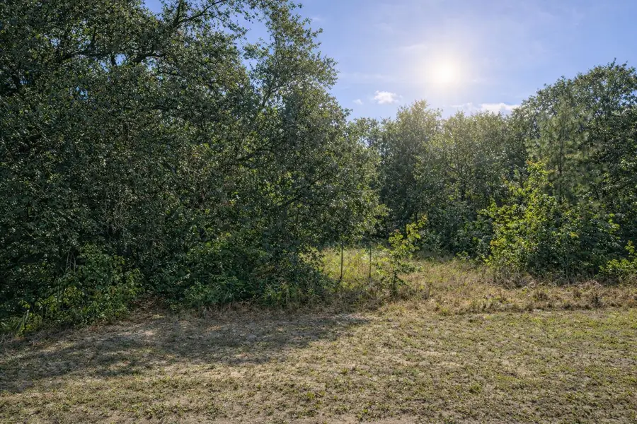 4375 SW 194th Avenue, Fellowship, FL 34432 - #3
