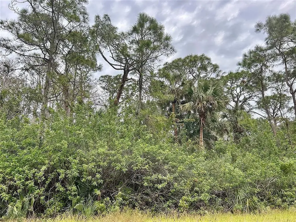 516 Woodman Drive, Lehigh Acres, FL 33972 - #1