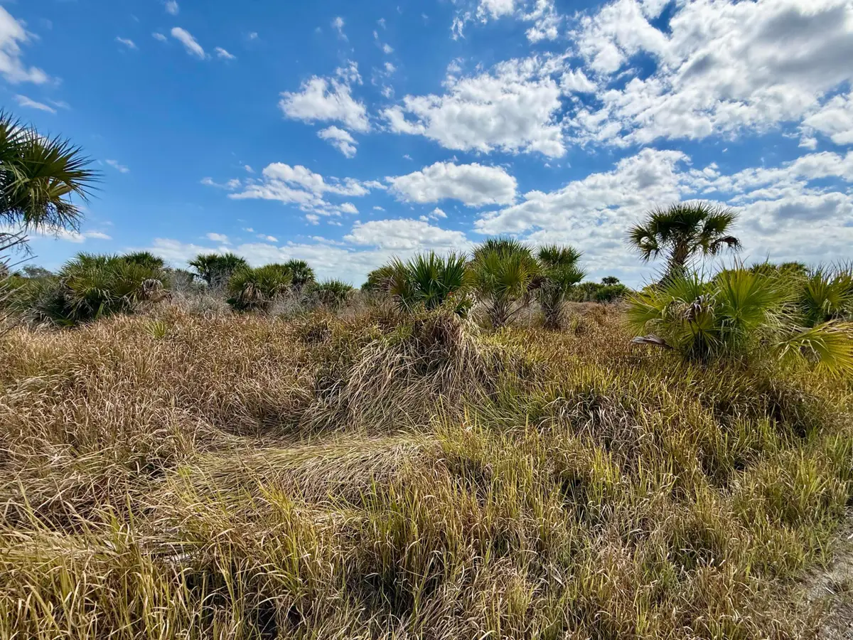 1909 Comer Terrace Sw, Palm Bay, FL 32908 - #1