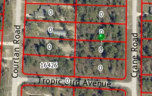0 Crane Road, ,, FL 34614