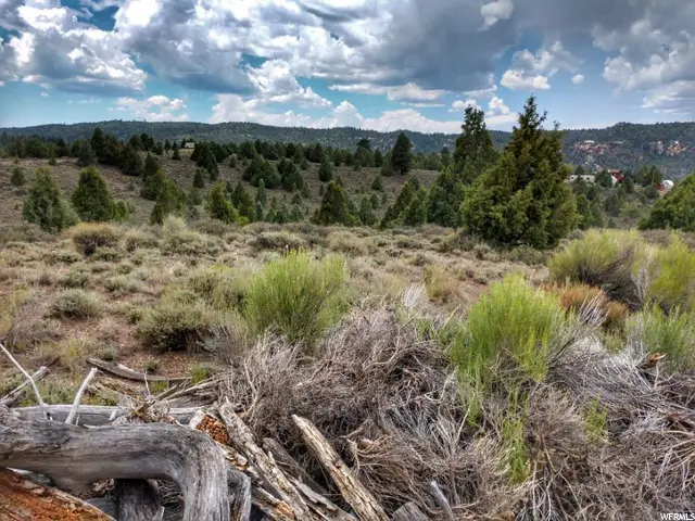 3225 Uinta Dr, Alton, UT 84710 - #3